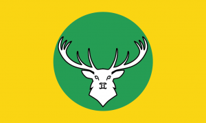 Exmoor Flag C