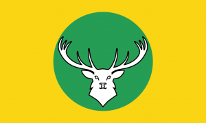 Exmoor Flag C
