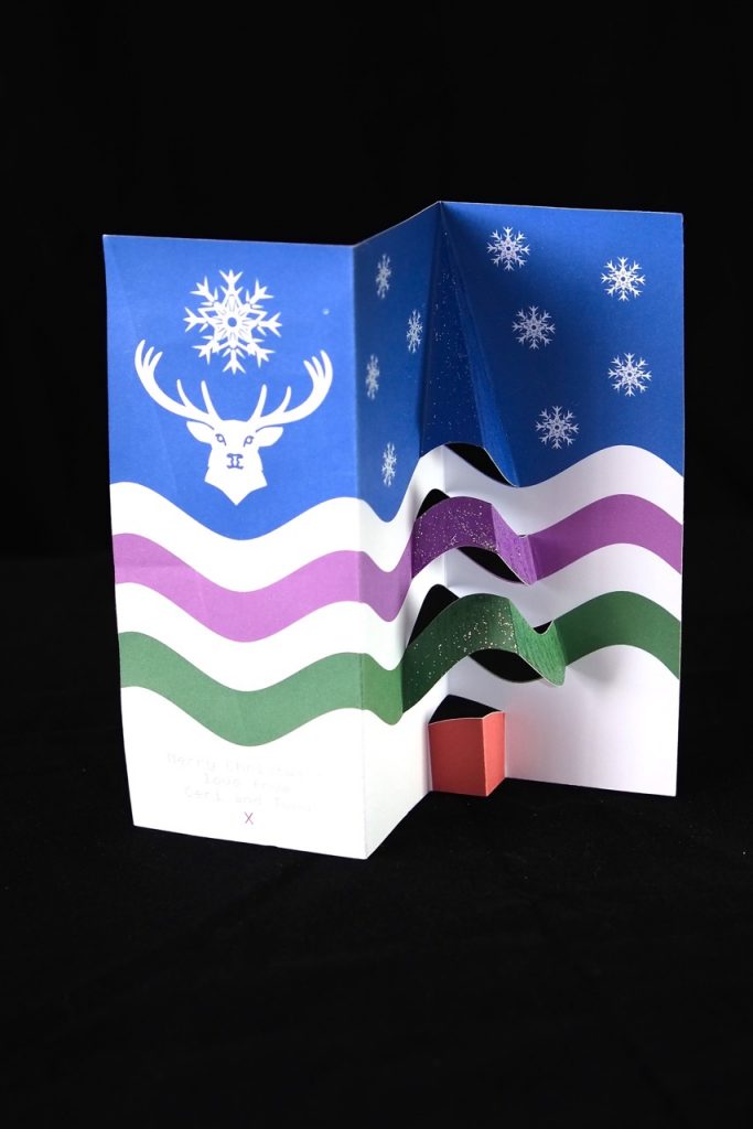 Exmoor Flag Christmas Card