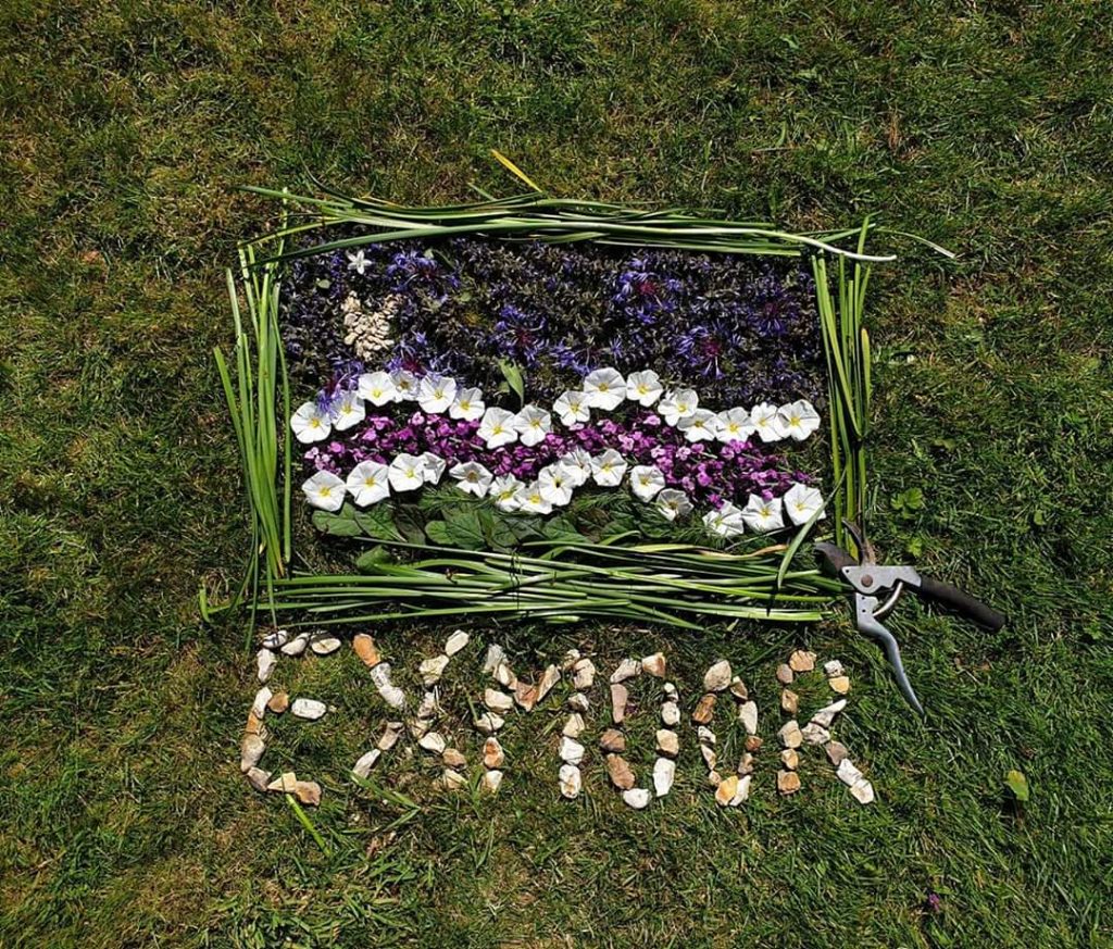 Exmoor Flag flower creation